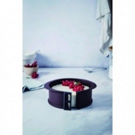 Mofo de silicone removível redondo lacor