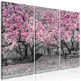 Cuadro - Magnolia Park (3 Parts) Pink
