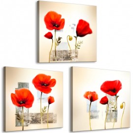 Quadro - Impression With Poppies (3 Parts)