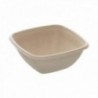 PACK 50 BOWL CUADRADO 13 CM. 37 CLS. PULPA VEGETAL