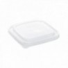 PACK 50 TAPAS CUADRADAS 17 CM. PET PARA PULPA VEG.