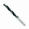 Broca Alpen Wood 10,00 mm. (Bolha)