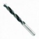 Broca Alpen Wood 14,00 mm. (Bolha)