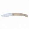 Wolfpack Nacar 8,9 cm Razor Dated Model