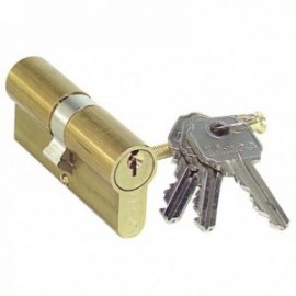 Cilindro de linha Lineroprfil 0100/60 mm.