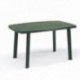 Resina Verde Tabela 140x90 cm.