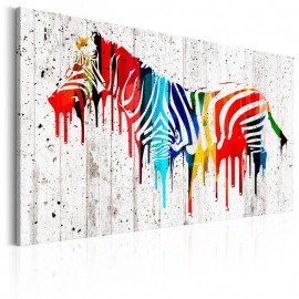 Cuadro - Colourful Zebra