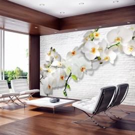 Fotomural - Orquídeas en la pared