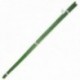 Tutor Varilla Bambú Plastificado Ø 12 - 14 mm. x 150 cm. (Paquete 10 Unidades)