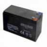 Wolfpack Battery Sulfatter Battery (08052000)