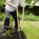 Aço forjado de Cavahoyos com alça de madeira 146 cm. Planter, Cava Hoyos, Sembrrédora, Plantadora, Cava Poste, Semabra Bulbos,