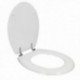 Camada de luxo branca wc