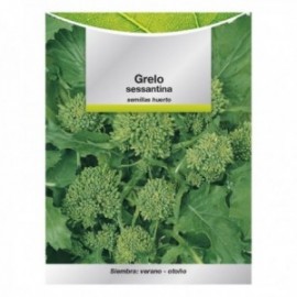 Seja Grelo Brocoli (10 gramas) senções de vegeta, horticultura, Horticola, afetadas por Jardim.
