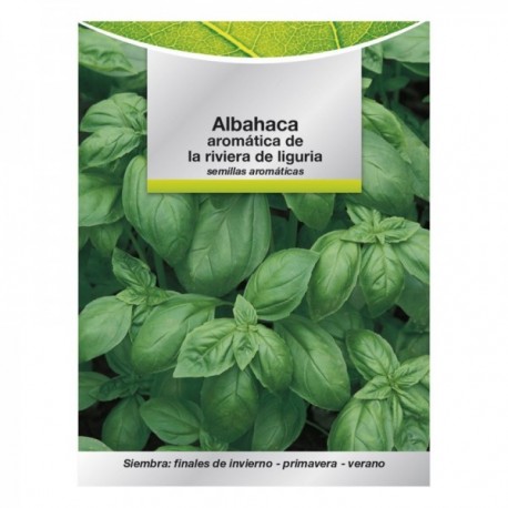 Sementes aromáticas manjericão aromático (5 gramas) horticultura, horticola, sementes de jardim.