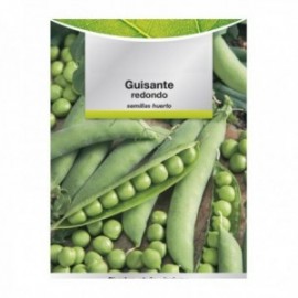 Os guamantes fazem gumantes