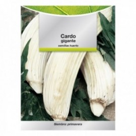 Jardim de Sentes Thistle