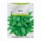 Sementes aromáticas Mint (0,3 gramas) horticultura, horticola, sementes de jardim.