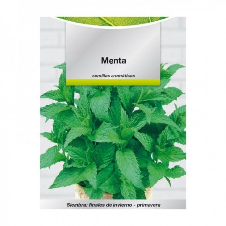 Sementes aromáticas Mint (0,3 gramas) horticultura, horticola, sementes de jardim.