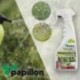 Aceite De Linaza Para Pulgon Cochinilla.500 ml