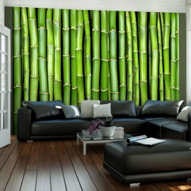 Fotomural - Una pared de bambú