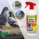 Pombos e pássaros repelentes (750 ml.) Repeleam / Ahuyentor Birds, pássaros repelentes, pássaros conselheiros, telhados, etc.