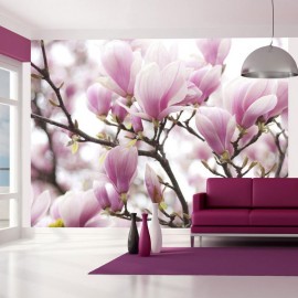 Fotomural - Magnolia bloosom