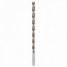 Broca Alpen Long Wood Timber Twist Ø 6,0 x 250 mm. (Blister 1 Unit)