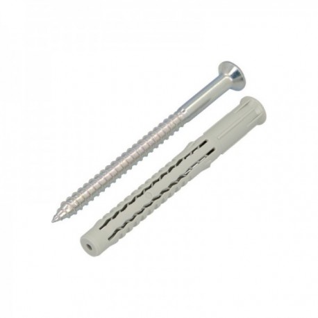 Taco NC-PS com Torx Torx 40 10 x 100 mm. (50 peças)