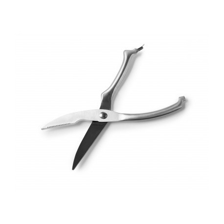 Ibili Professional Birds Turnk 25,5 cm
