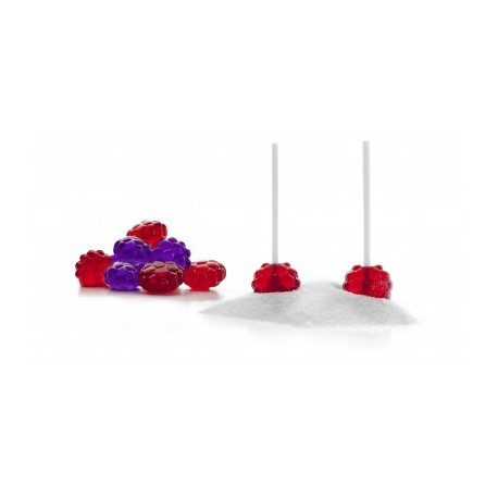 MOLDE GOMINOLA + 24 PALITOS DE IBILI 27 CM