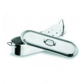 Embarque em peixes de embarque não 40 cm