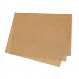 LÁMINAS ANTIADHERENTES DE LACOR 30x40 CM