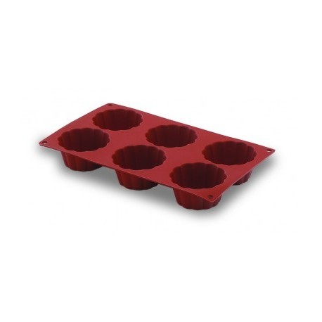 Brustte 6 Cavities Silicone Mold