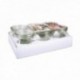 Pack 6 Tarros 16 Cls. con Tapa de Vidrio Vidrio Borosilicato WECK