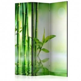 Biombo - Green Bamboo [Room Dividers]