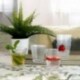 Set 6 Vasos Bajos Vidrio 25CL Lina Quid