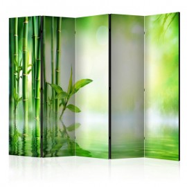 Biombo - Green Bamboo II [Room Dividers]