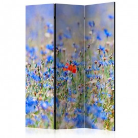Biombo - A sky-colored meadow - cornflowers [Room Dividers]