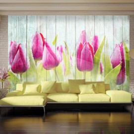 Fotomural - Tulipanes en madera blanca