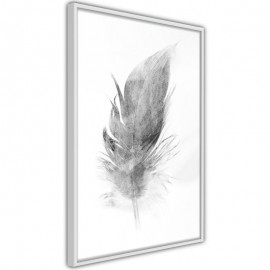 Pôster - Lost Feather (Grey)