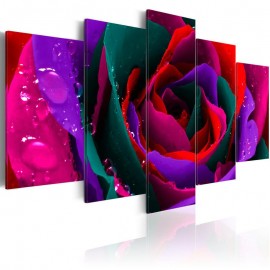 Cuadro - Multicoloured rose