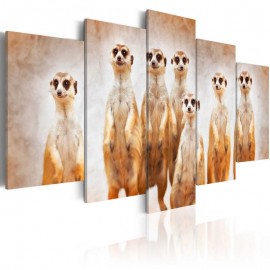 Quadro - Family of meerkats