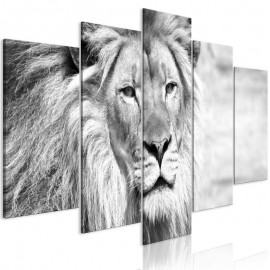 Quadro - The King of Beasts (5 Parts) Wide Black and White