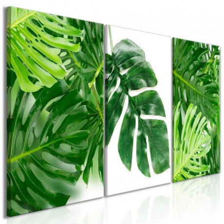Cuadro - Palm Leaves (3 Parts)