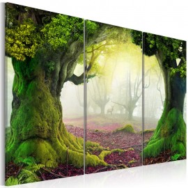 Quadro - Mysterious forest - triptych