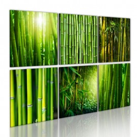 Cuadro - Las diferentes caras de bambú