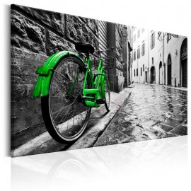 Quadro - Vintage Green Bike