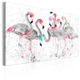 Quadro - Flamingoes Dance