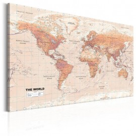 Cuadro - World Map: Orange World