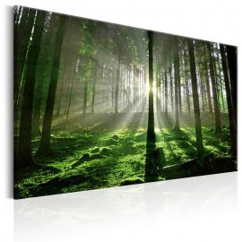 Quadro - Emerald Forest II